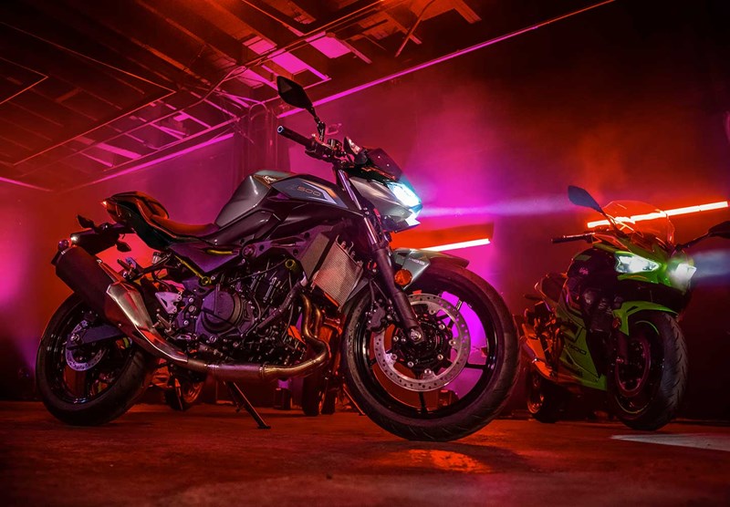 品格と迫力が息づくデザイン