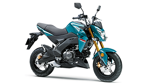 Kawasaki Z125 PRO | スーパーネイキッドモデル| シャープ&スポーティ Kawasaki Z125 PRO | スーパーネイキッドモデル| シャープ&スポーティ