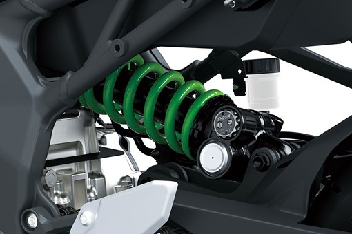 2024 Ninja ZX-4RR KRT EDITION