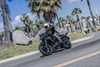 2024 ELIMINATOR SE