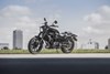 2024 ELIMINATOR SE