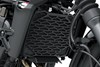 2024 ELIMINATOR SE