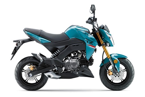 2021 Z125 PRO