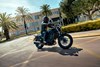 2025 ELIMINATOR