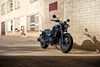 2025 ELIMINATOR