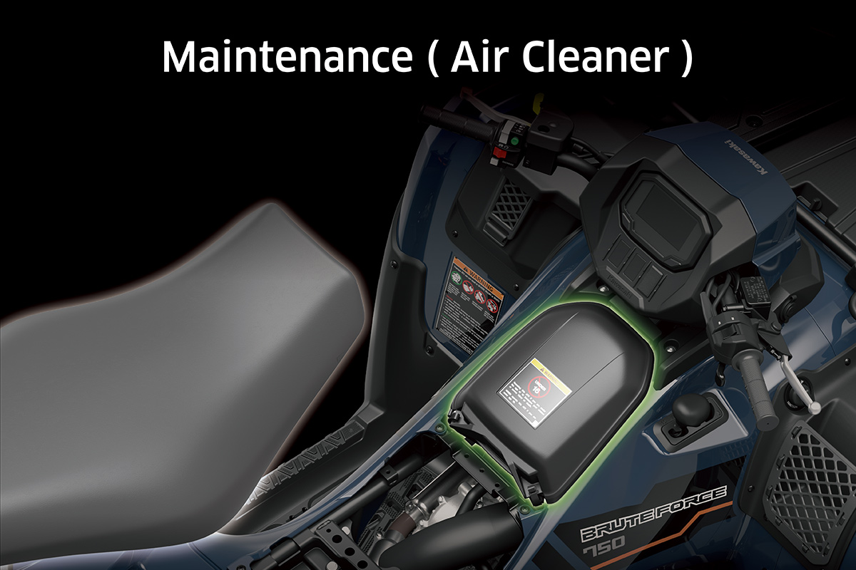 2025 BRUTE FORCE 750