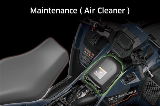 2025 BRUTE FORCE 750