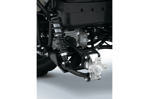 2025 BRUTE FORCE 750