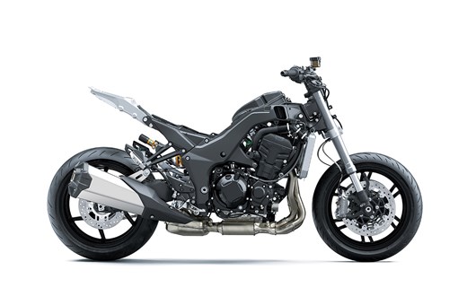 2025 NINJA 1100SX SE