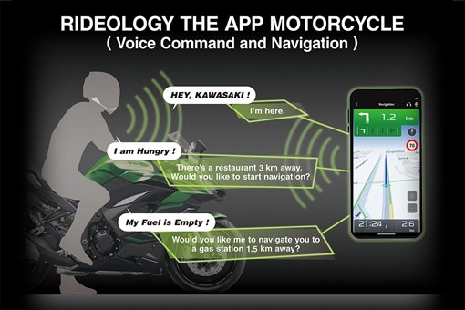 2025 NINJA 1100SX SE