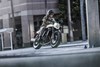 2026 ELIMINATOR SE