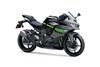 2026 Ninja ZX-25R SE