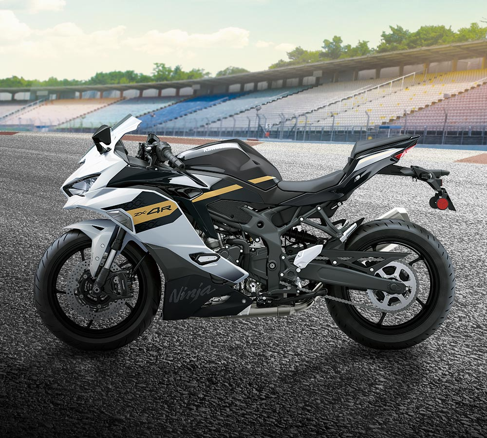 4.y.n.0903様 トリックスター / Ninja ZX-4R SE/4RR（24-25）政府認証ダウン