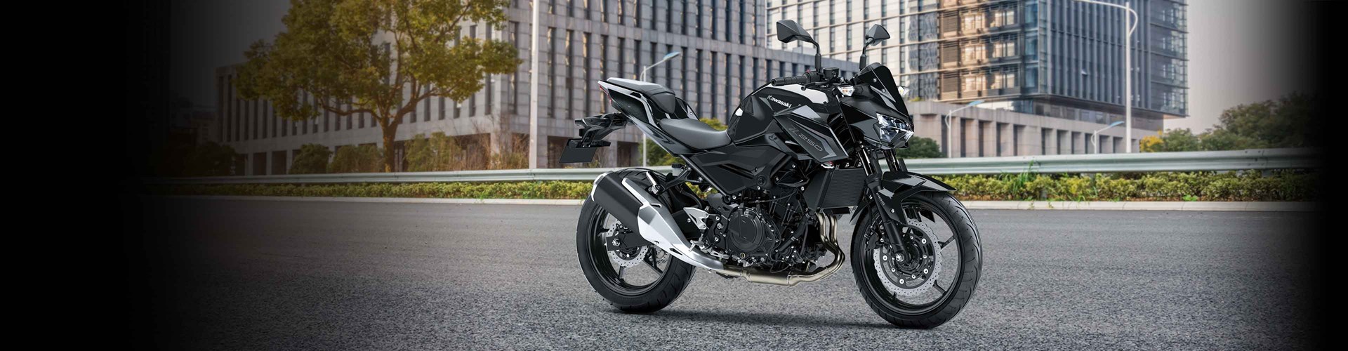 Z250