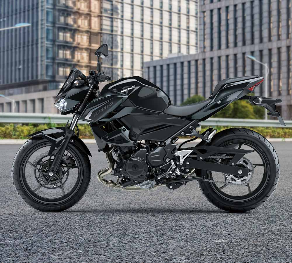 Kawasaki Z250| スーパーネイキッドモデル | アグレッシブなスタイリング