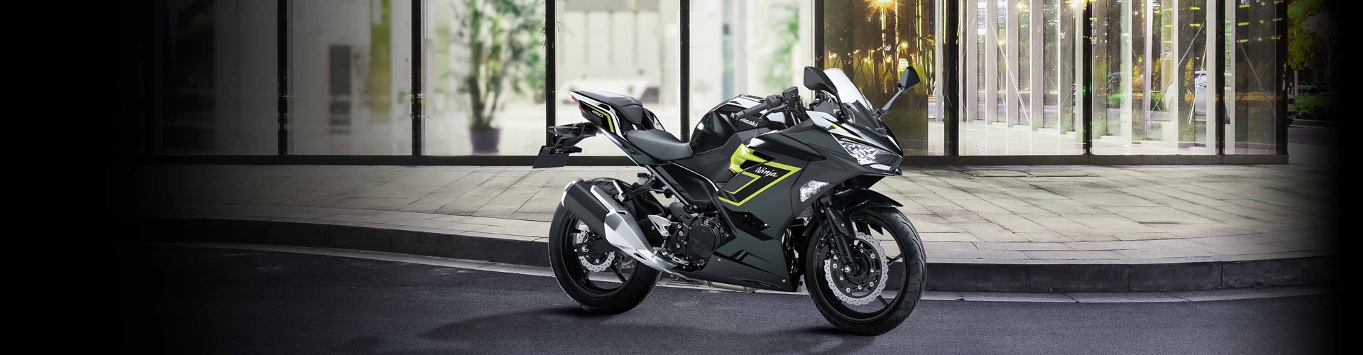 Ninja250