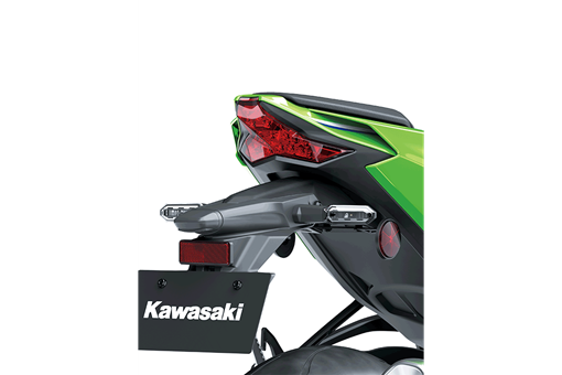 2026 Ninja ZX-10R