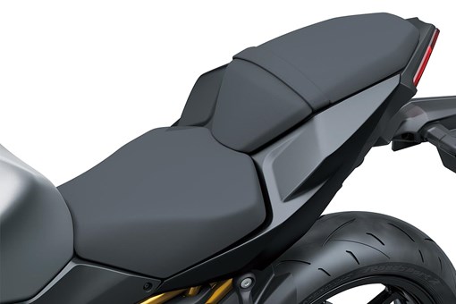 2026 Z650 S