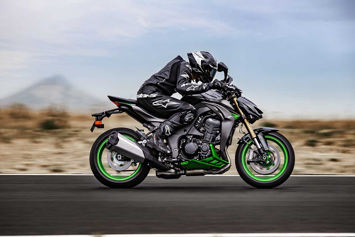 2027 Z1100 SE