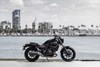 2025 ELIMINATOR 500 